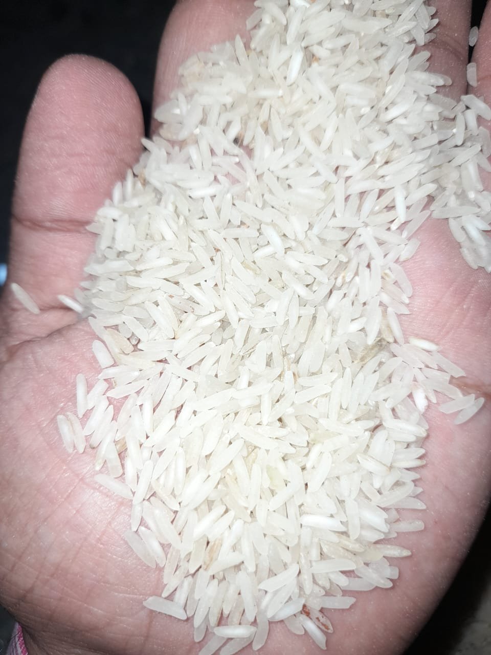 Rice grain on a dark surface