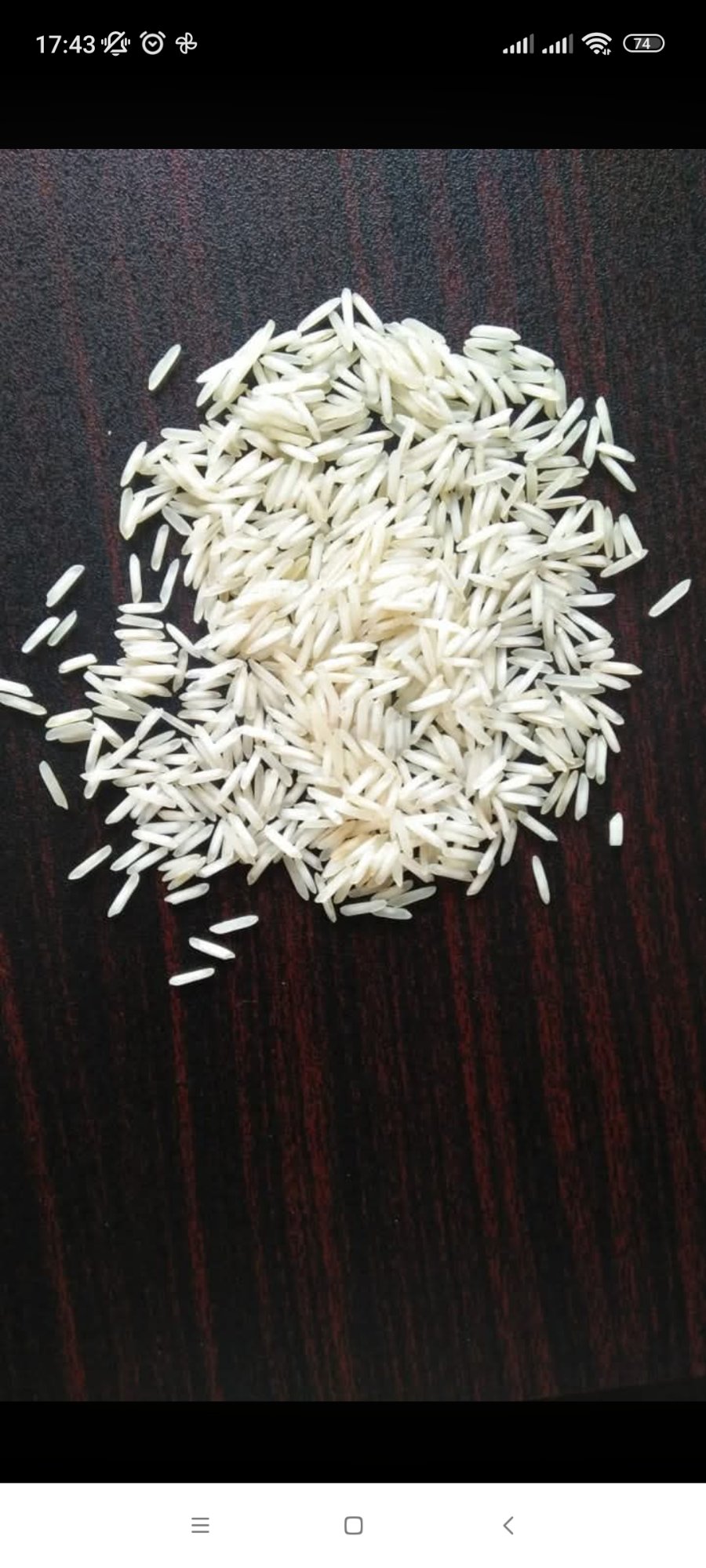 Basmati rice grain