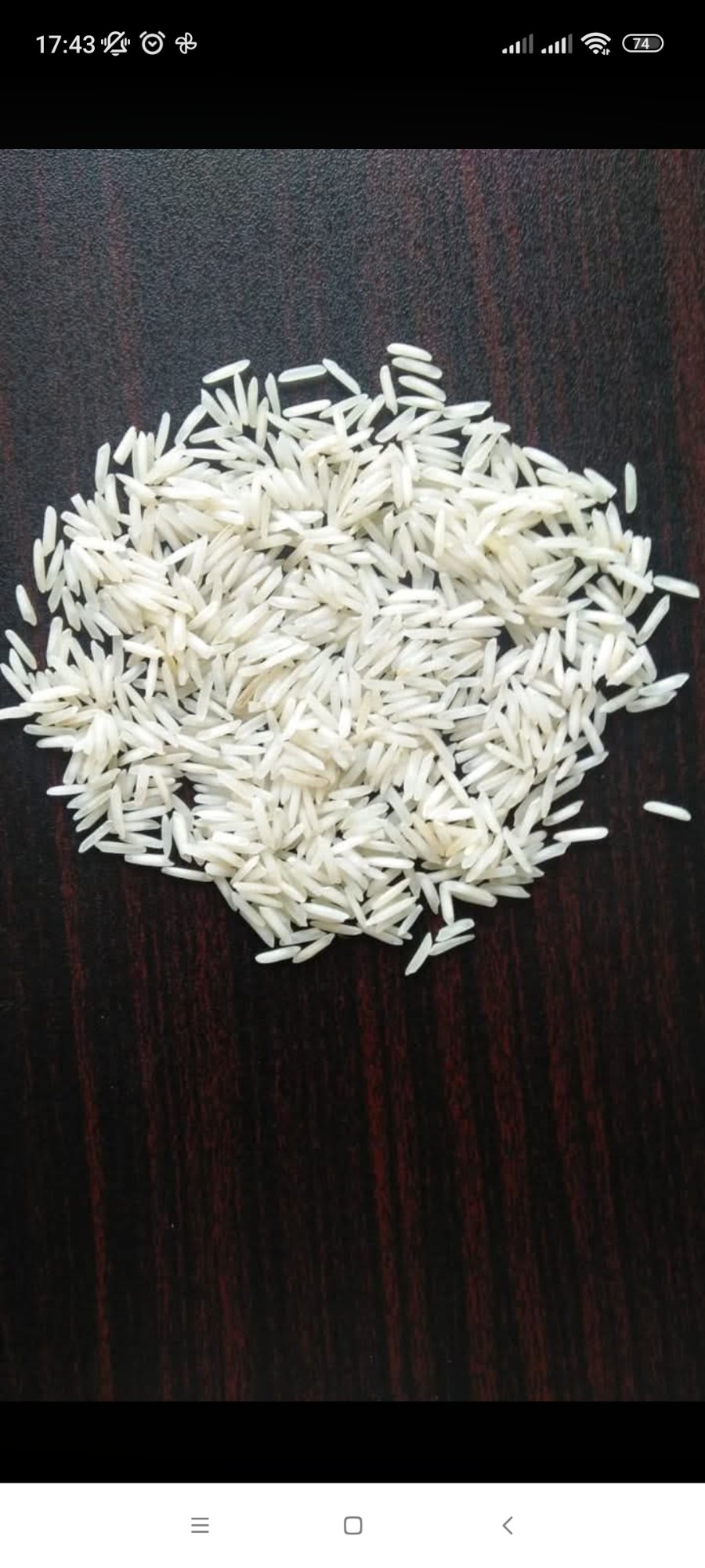 Dry basmati rice grain close up