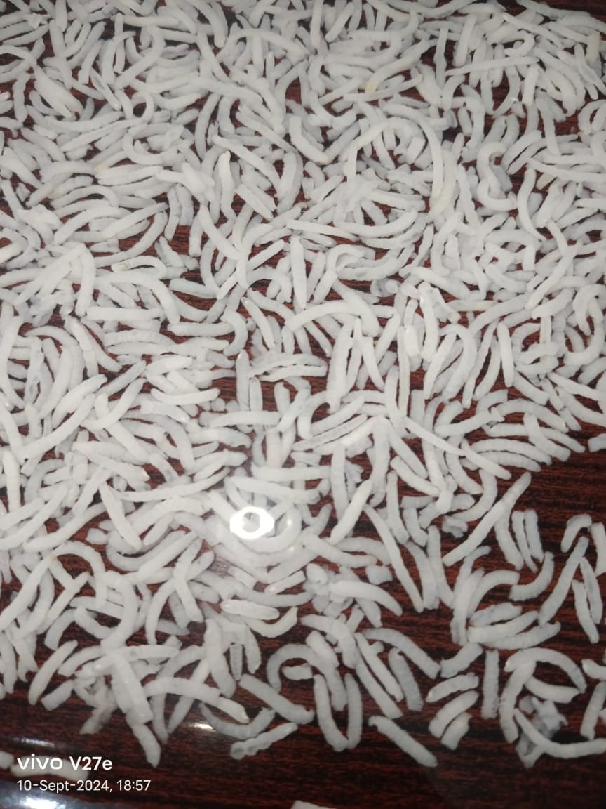 Parboiled rice grains